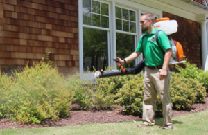 Mosquito Joe of Greater Greenville SC technician spraying bushes out of a home. 